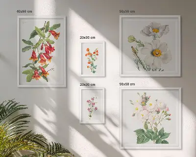 Květinové botanické ilustrace sada obrazů do ložnice