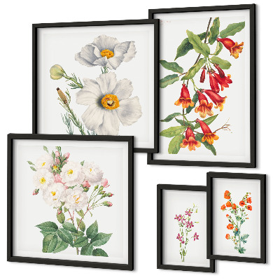 Sada obrazů do ložnice Květinové botanické ilustrace