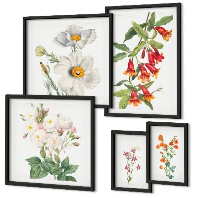 Květinové botanické ilustrace sada obrazů do ložnice