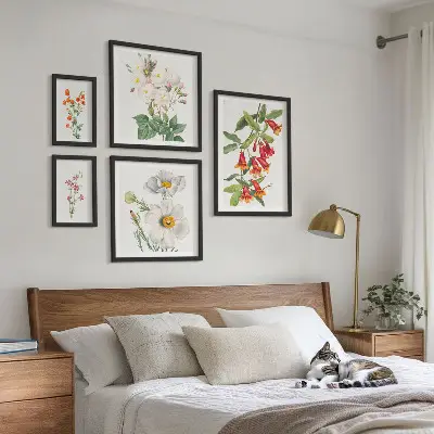 Květinové botanické ilustrace sada obrazů do ložnice