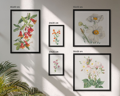 Sada obrazů do ložnice Květinové botanické ilustrace