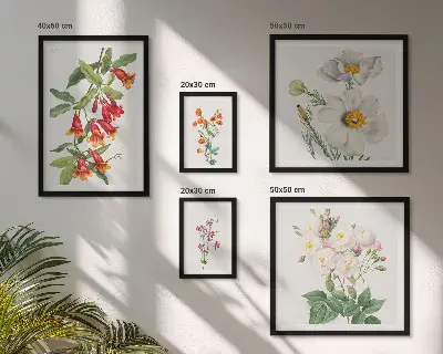 Květinové botanické ilustrace sada obrazů do ložnice