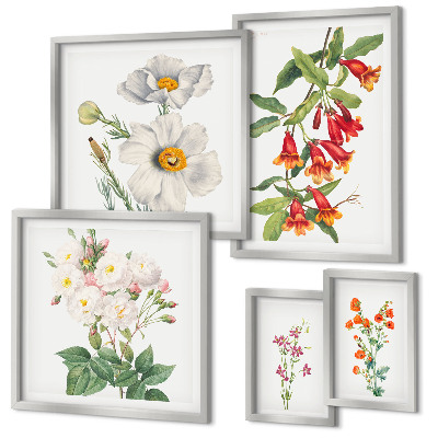 Sada obrazů do ložnice Květinové botanické ilustrace