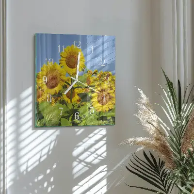 Hodiny na skle čtvercové Slunečnice