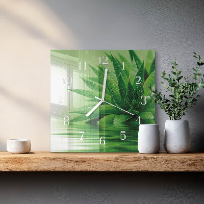 Nástěnné hodiny skleněné čtvercové Aloe