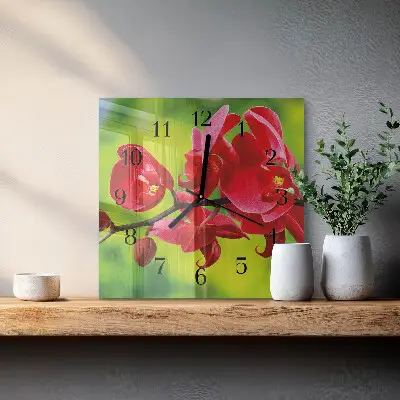 Čtvercové skleněné hodiny na stěnu Orchidej