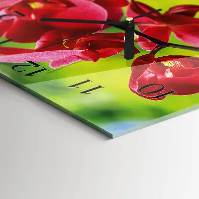 Čtvercové skleněné hodiny na stěnu Orchidej