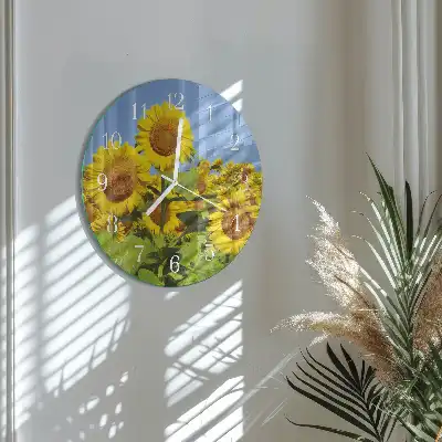 Hodiny na skle kulaté Slunečnice