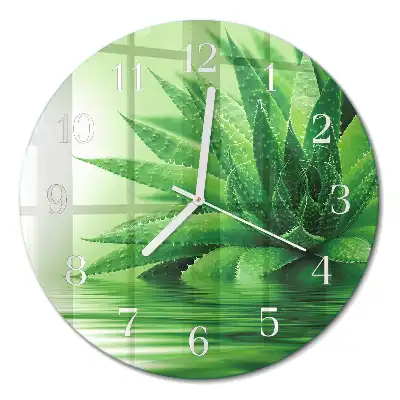 Nástěnné hodiny skleněné kulaté Aloe