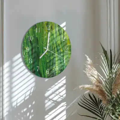 Kulaté skleněné hodiny na zeď Tráva