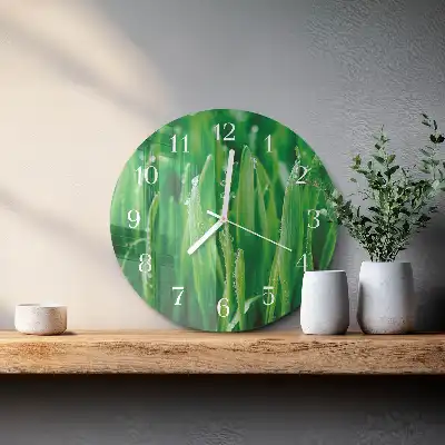 Kulaté skleněné hodiny na zeď Zelená tráva