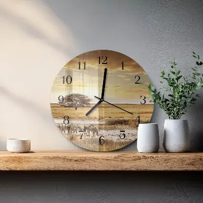 Kulaté skleněné hodiny na stěnu Zebry