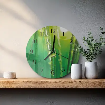 Kulaté skleněné hodiny na stěnu Kapky na trávě