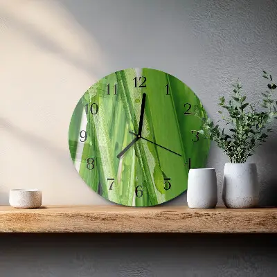 Kulaté skleněné hodiny na zeď Tráva