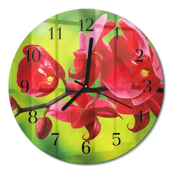 Kulaté skleněné hodiny na zeď Orchidej