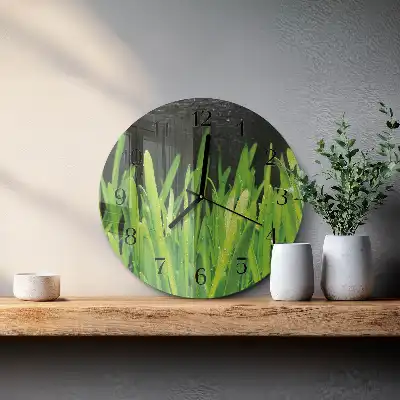 Kulaté skleněné hodiny na zeď Tráva
