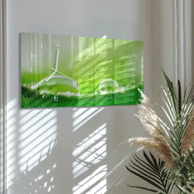 Hodiny s fotkou skleněné vodorovné Kapky na listu