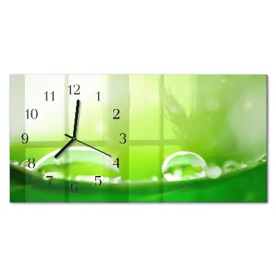 Vodorovné skleněné nástěnné hodiny Kapky na listu