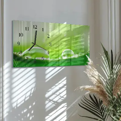 Vodorovné skleněné nástěnné hodiny Kapky na listu