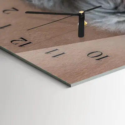 Hodiny na zeď skleněné vodorovné Peršan