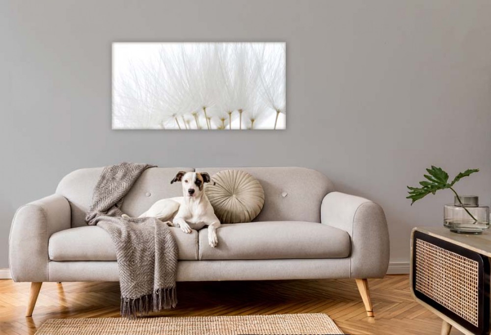 barva interiéru roku 2026