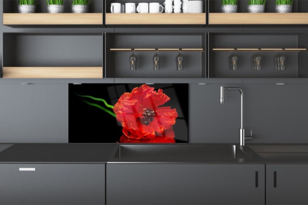 BÍLÝ NEBO ČERNÝ KUCHYNSKÝ PANEL