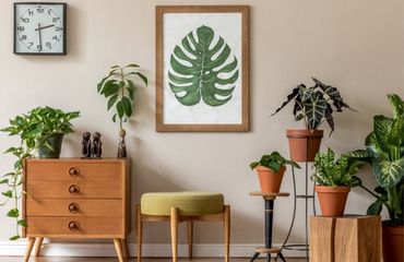 Jak vyzdobit svůj domov ve stylu městské džungle? Urban jungle bez tajemství